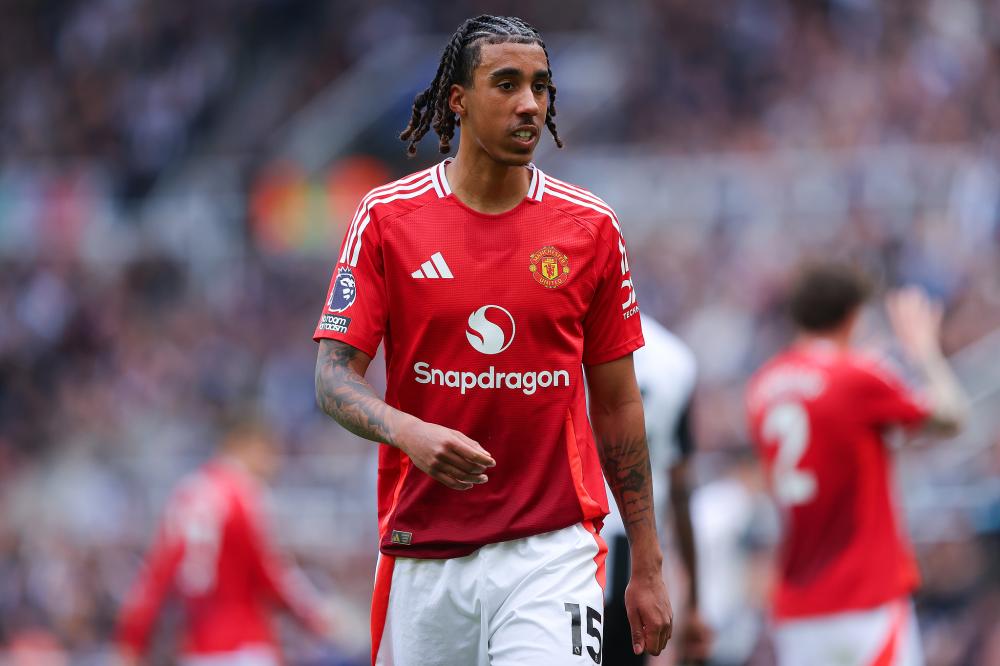 球迷的热情 球迷的热情